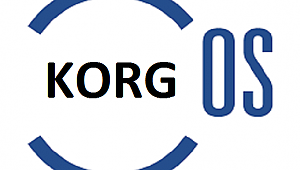 KORG PA800 256mb RAM O.S 2.02 (seri numara gerekmez / NO SERIAL NEEDS)