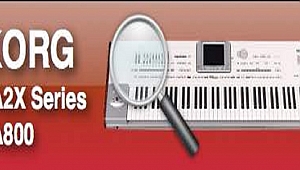 PA2X - PA800 ÜRDÜN - JORDAN SET