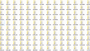 Korg Kronos Ashot Armenian - Kavkaz Set - Burdan İndir - Download Free