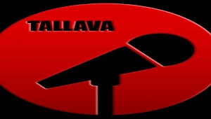 PA2X-PA800 TALLAVA NOVI 64mb SET