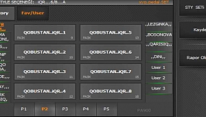 PA3X AZERİ PEDAL SET (256mb.)