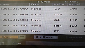 Korg Ritmin Desibel / Ses Seviyesi Ayarlarını Pratik Dengeleme, Ritim Editleme, Eko Ayarlama