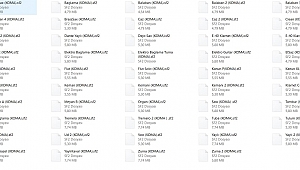 SF2 KOMALI SESLER (SF2 SCALE SOUNDS)