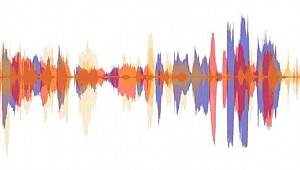 WAV İNSAN SESLERİ - HUMAN VOICES ARCHİVE (wav format)