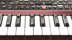KORG PA1000 SET (free download)