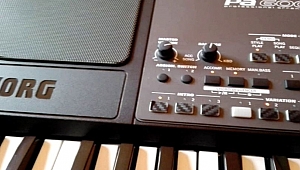 KORG PA1000 XEDOX SET (free download)