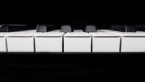 TRITON LE MOSS SET - FREE