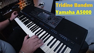 Tridine Bandım - Yamaha A5000