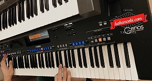 Hakan Çebi - Yüce dağ başında yanar bir ışık - Yamaha Genos