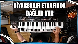 Hakan Çebi - Diyarbakır Etrafında Bağlar Var
