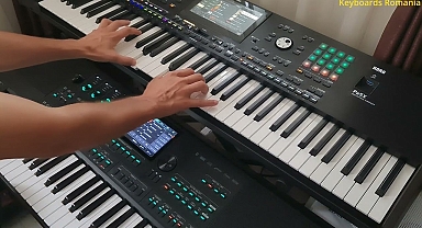 Korg Pa5X vs Medeli AKX10 (Dante Zen)