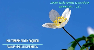 Ellerimizin Büyük Boşluğu - Enstrumental Genos2