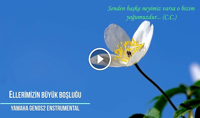 Ellerimizin Büyük Boşluğu - Enstrumental Genos2